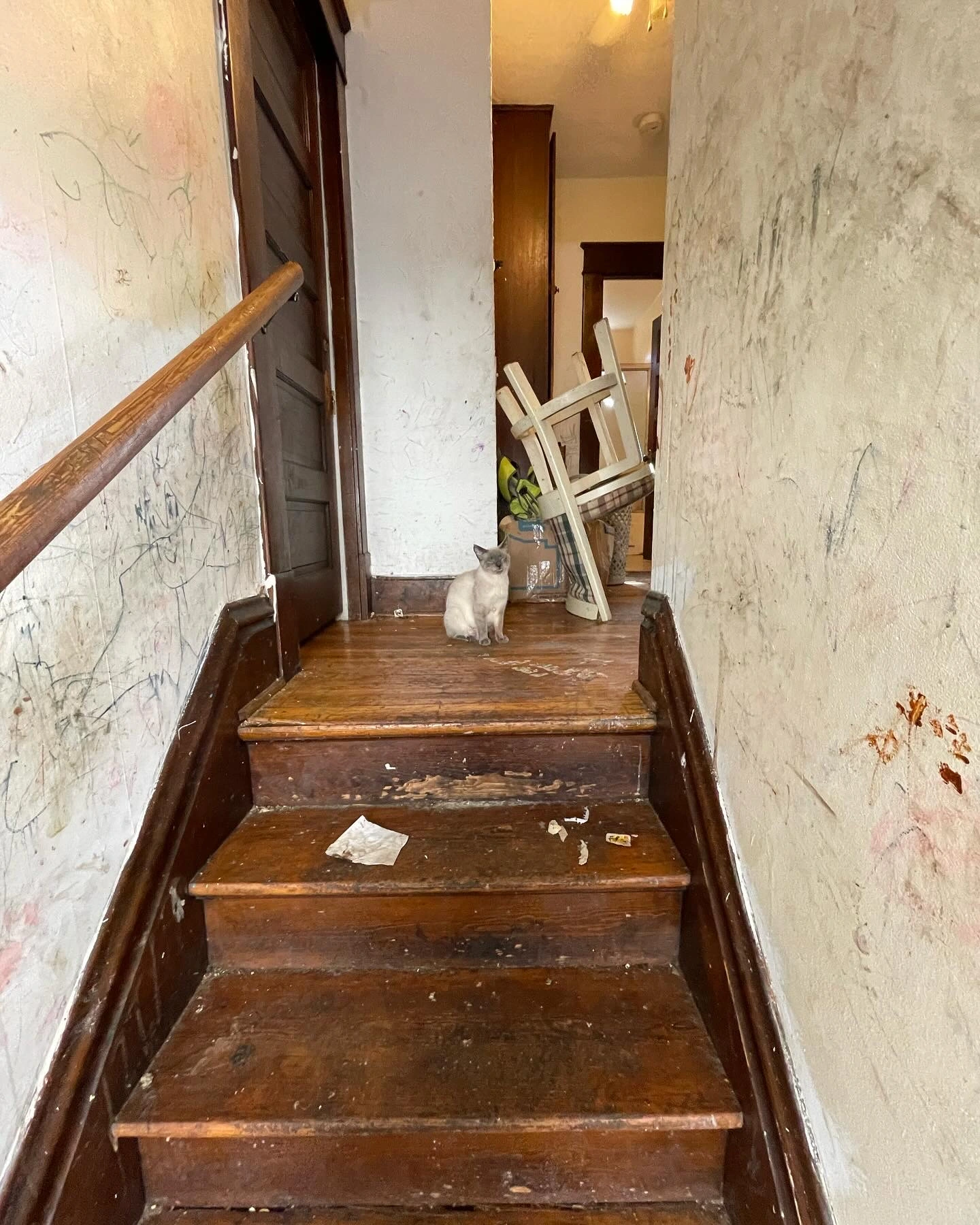 Inspection Reveals Hoarding