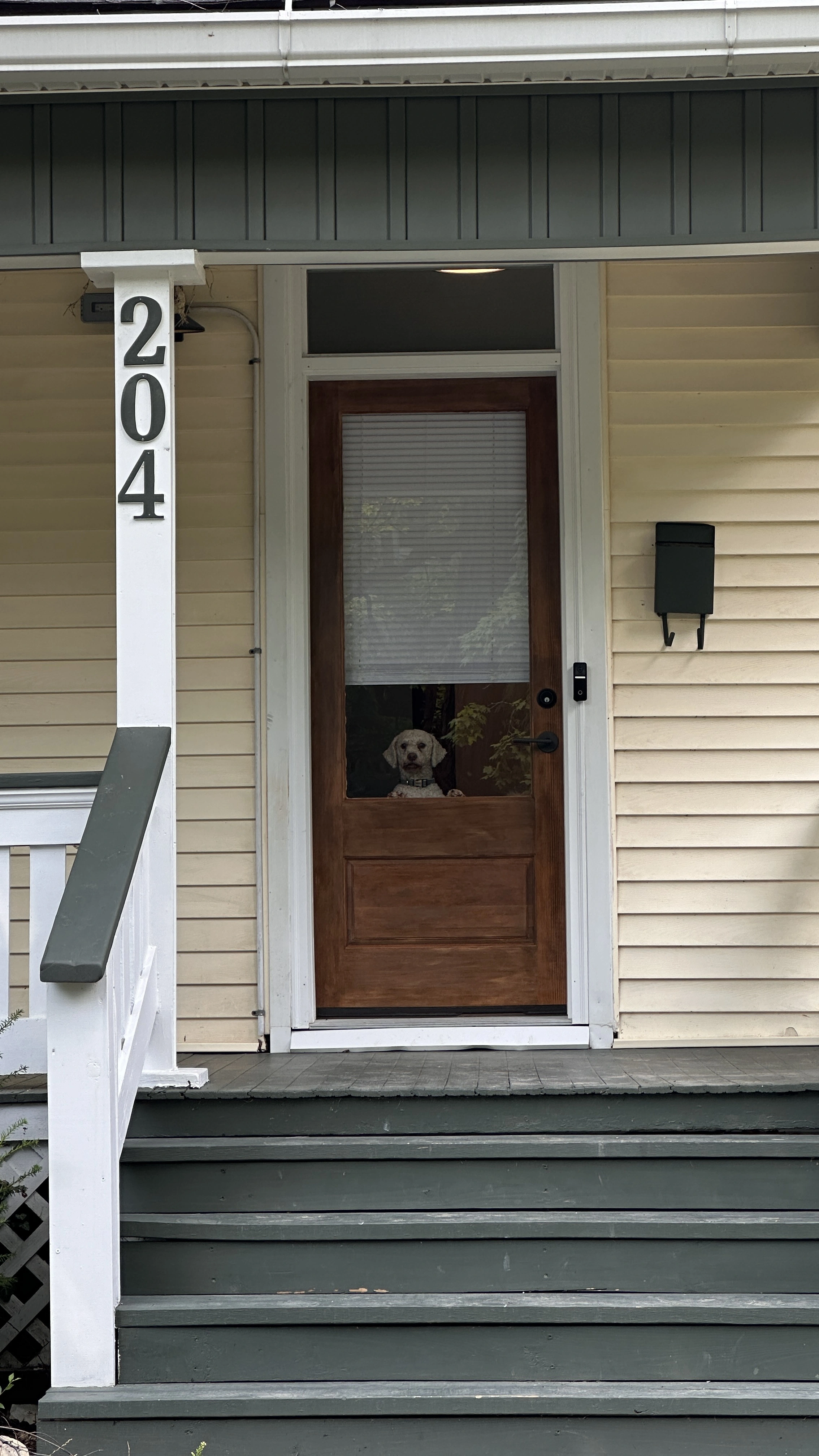Ready to rent